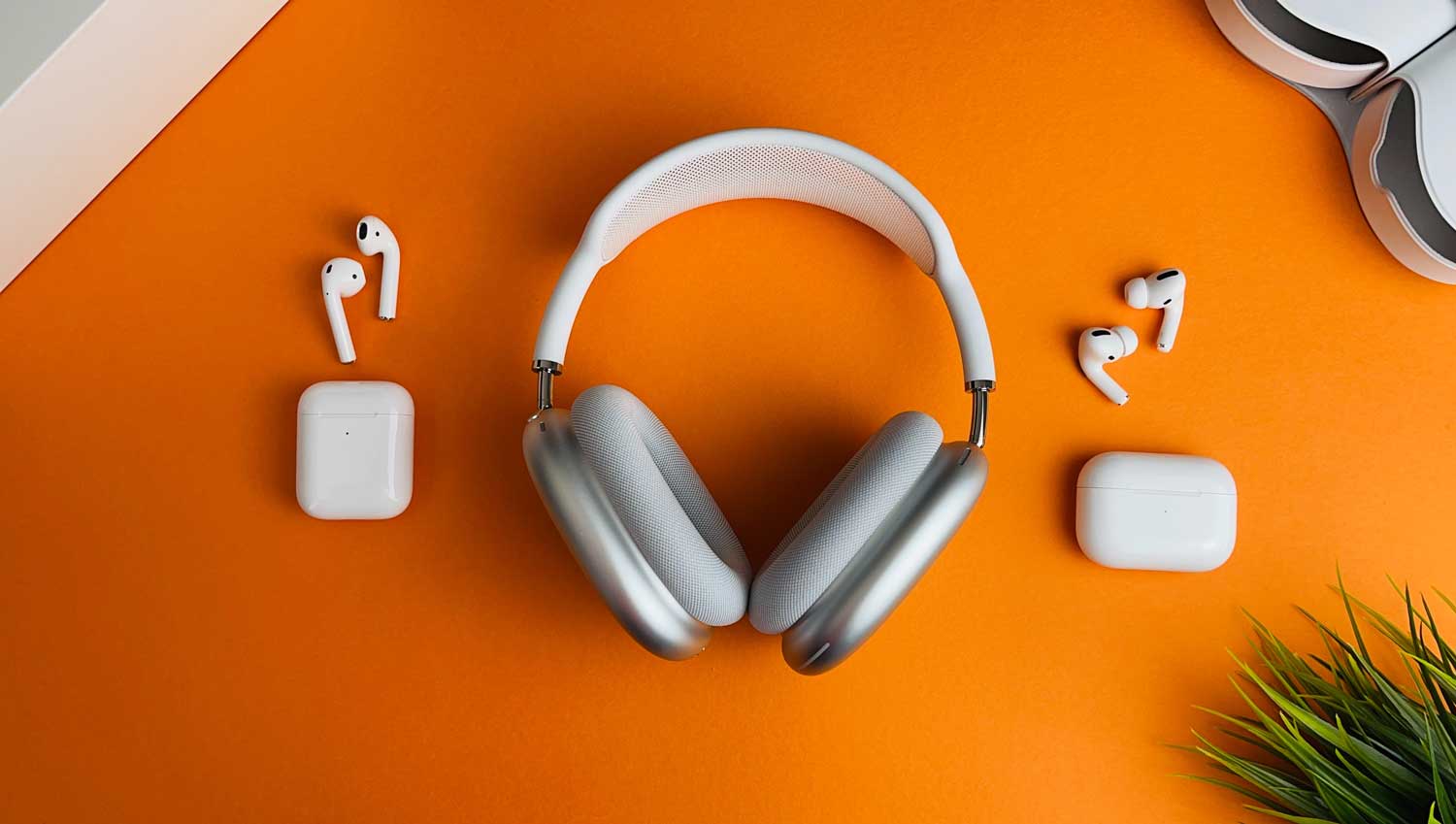 Massive Sales Discount